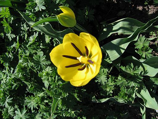 Image - 319_1940.jpg