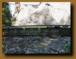-Click image for full size view-