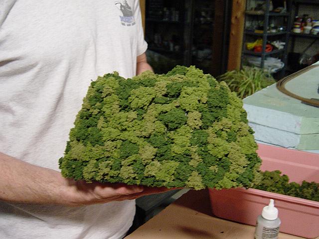 Image - DSC01287.JPG