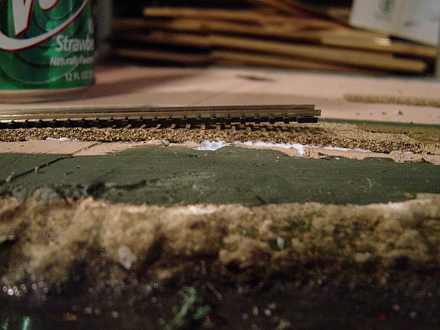 Image - DSC01297.JPG