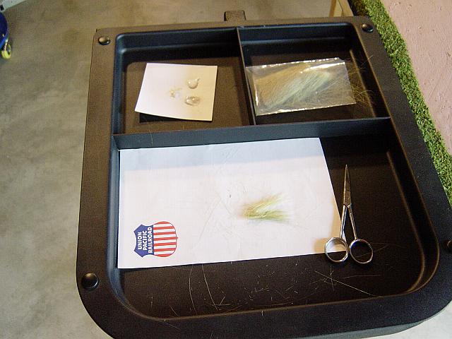 Image - DSC01487.JPG