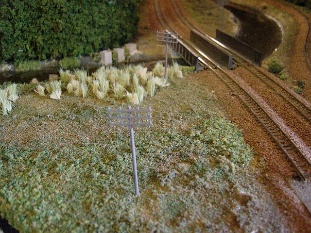 Image - DSC01491.JPG