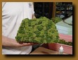 -Click image for full size view-