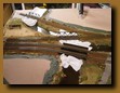 -Click image for full size view-