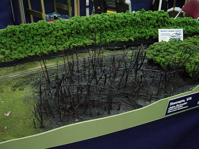 Image - DSC02199.JPG