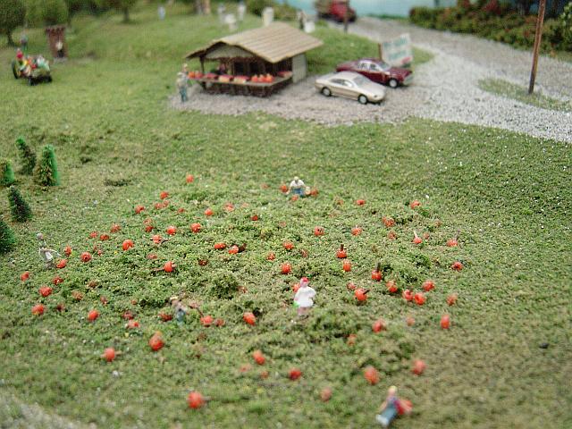 Image - DSC02229.JPG