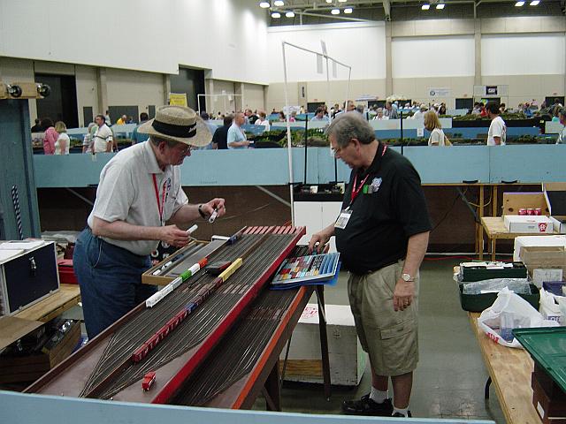 Image - DSC02237.JPG