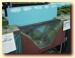 -Click image for full size view-