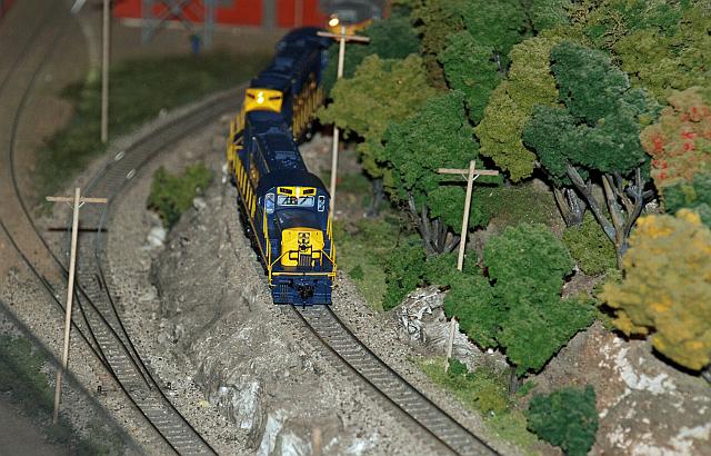 Image - DSC_0056.jpg